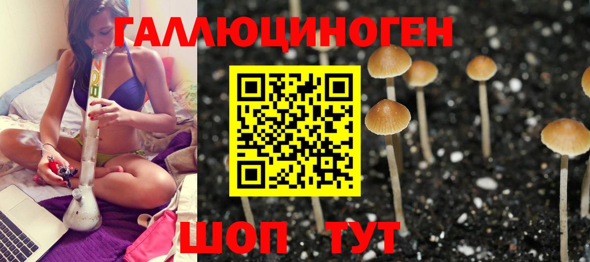 Галлюциногенные грибы GOLDEN TEACHER Семилуки